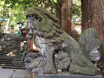 高千穂神社　狛犬